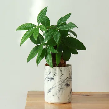 Садовые декоративные изделия Керамическая ваза Мраморная текстура Ваза для украшения комнаты