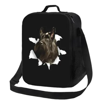 Термоизолированные сумки для ланча для собак Шотландского терьера Scottie Portable Lunch Tote для школы, офиса, хранения Бенто на открытом воздухе, коробка для еды