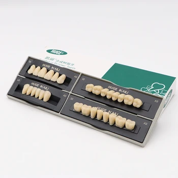 4 Комплекта/коробка Модель зубного протеза Полный набор Модель зубов Модель зубов из синтетического полимера