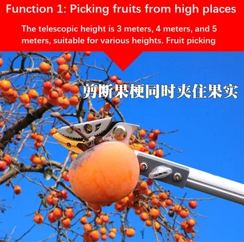 Сбор веток фруктовых деревьев, обрезка плодов, удлинение веток телескопической воздушной пилой
