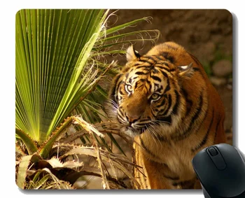 Персонализированный коврик для мыши с мордой тигра, коврики для мыши Big Cat Grass Hunting 40223
